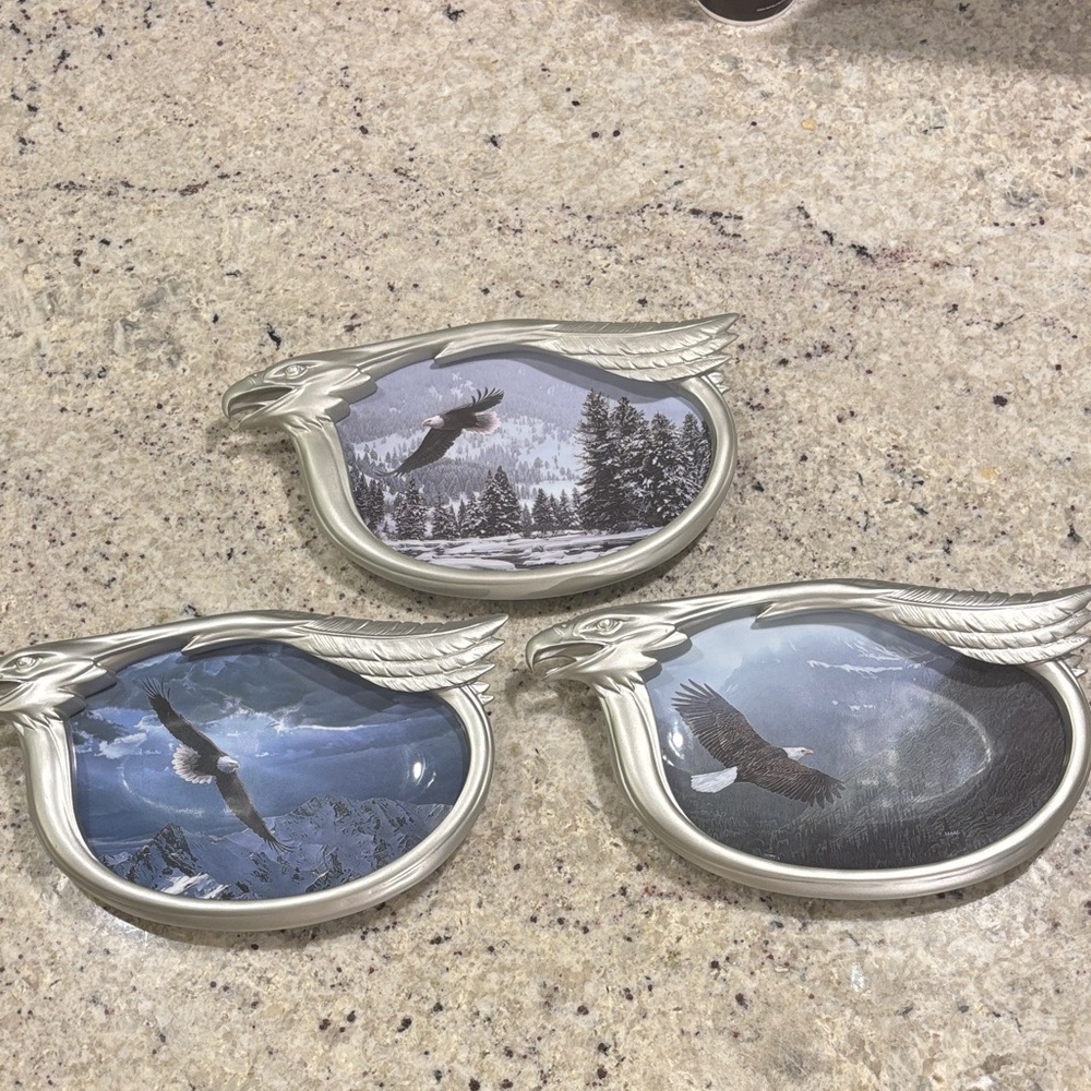 Bradford Exchange Vintage Collectible Silver Eagle Wall Decor Set
